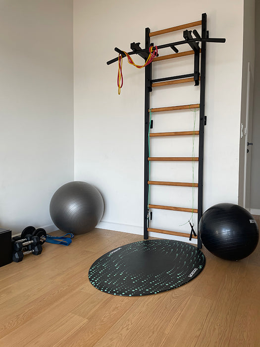 BenchK Wall Bars + Steel Pullup-Bar 731B    