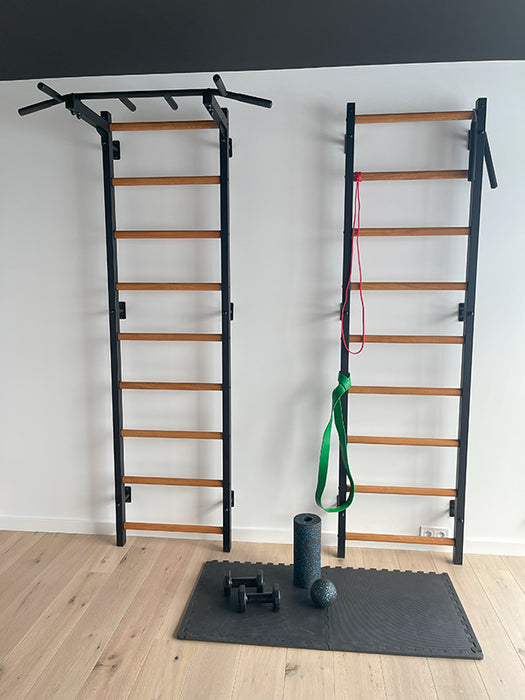 BenchK Wall Bars + Fixed Steel Pullup-Bar 721B    