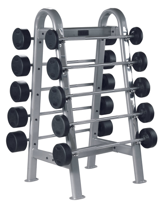 York Barbell ETS Fixed Straight And Curl Bar Rack    