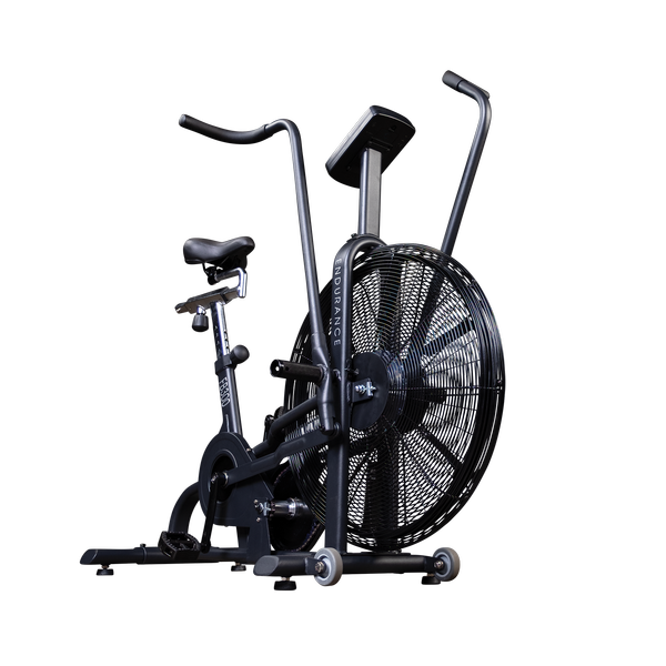 Body Solid Endurance FB300B Fan Bike, Black    