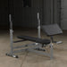 Body Solid GDIB46LP4 Power Center Combo Bench Package    