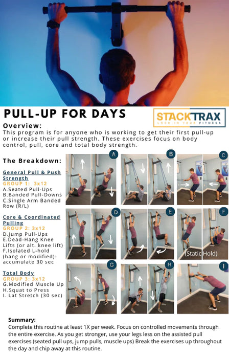 StackTrax Starter Kit Wall Mount Gym Set    