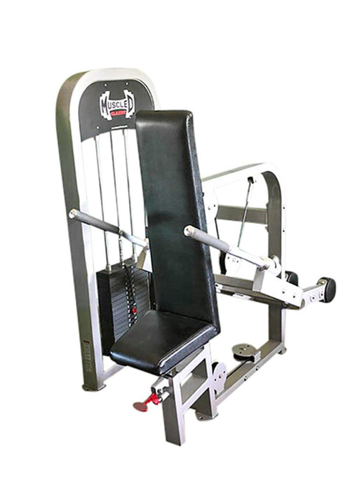 Muscle D Classic Triceps/Dip Machine    